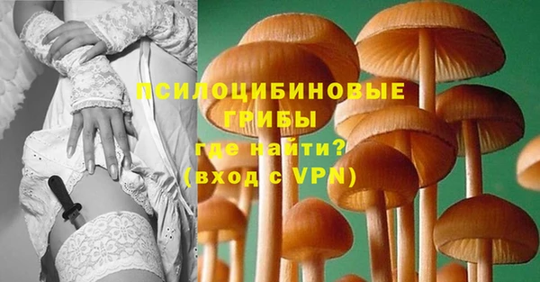 spice Балабаново