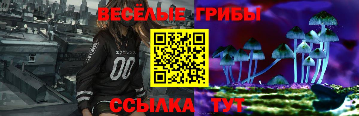 Псилоцибиновые грибы мицелий Беслан